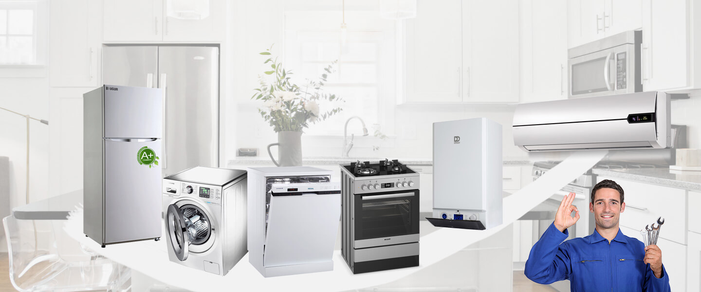 Beşiktaş Warmhaus Servisi